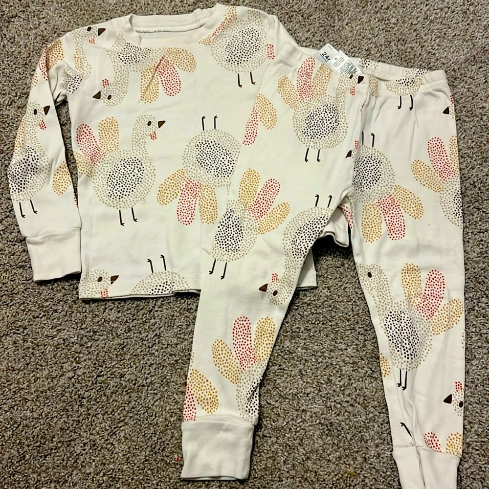 Carter Toddler Thanksgiving Turkey Pajamas - Size 24 Months